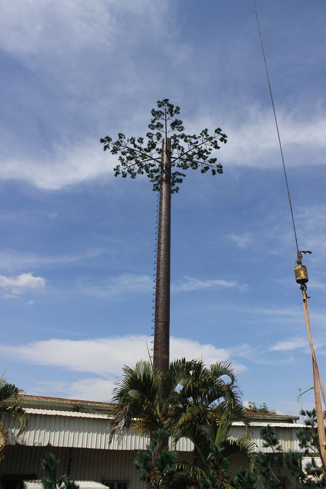 Pine Tree Cell Tower